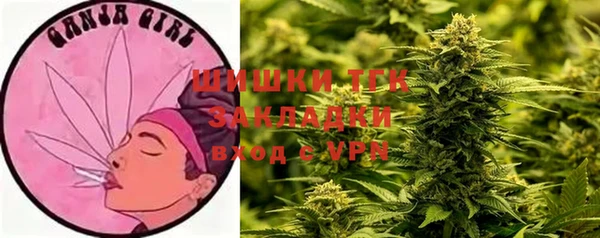 PSILOCYBIN Новокубанск